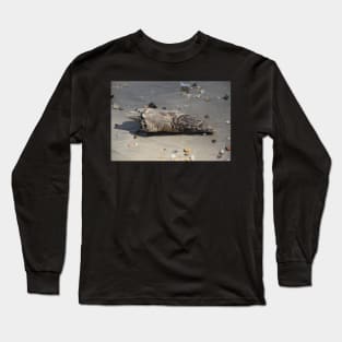 Small piece of driftwood Long Sleeve T-Shirt